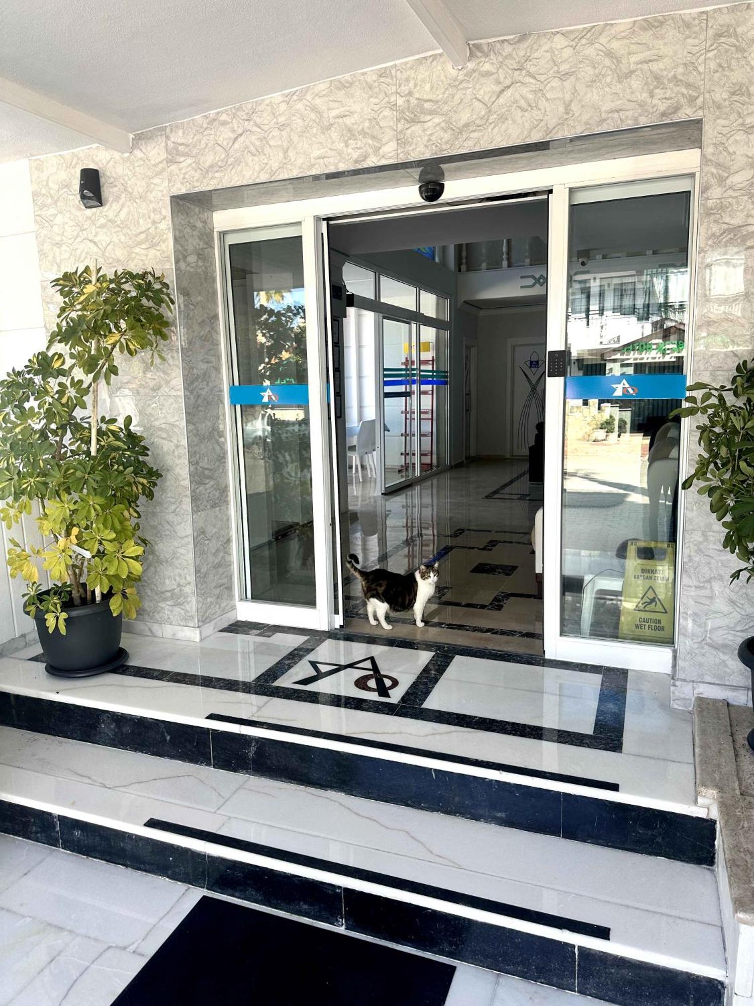Amsterdam Otel Economic Room Κεμέρ Εξωτερικό φωτογραφία